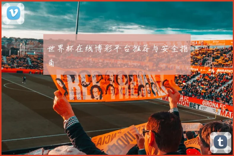 世界杯在线博彩平台推荐与安全指南