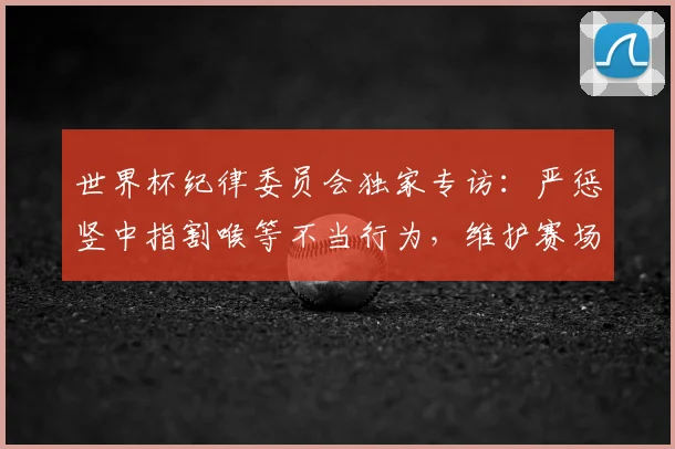 世界杯纪律委员会独家专访：严惩竖中指割喉等不当行为，维护赛场尊严