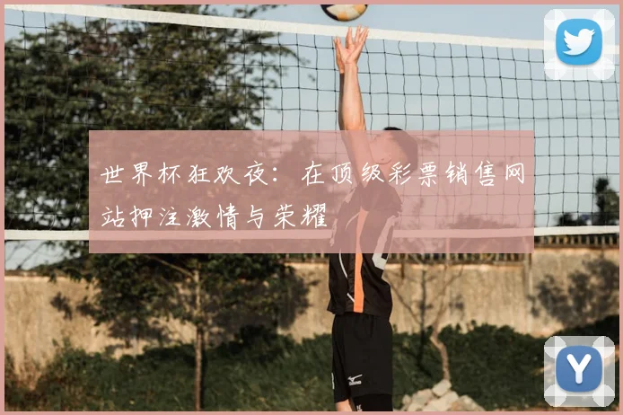 世界杯狂欢夜：在顶级彩票销售网站押注激情与荣耀